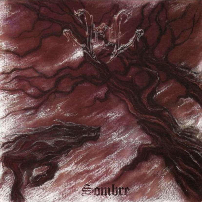 Veil - Sombre - black metal news